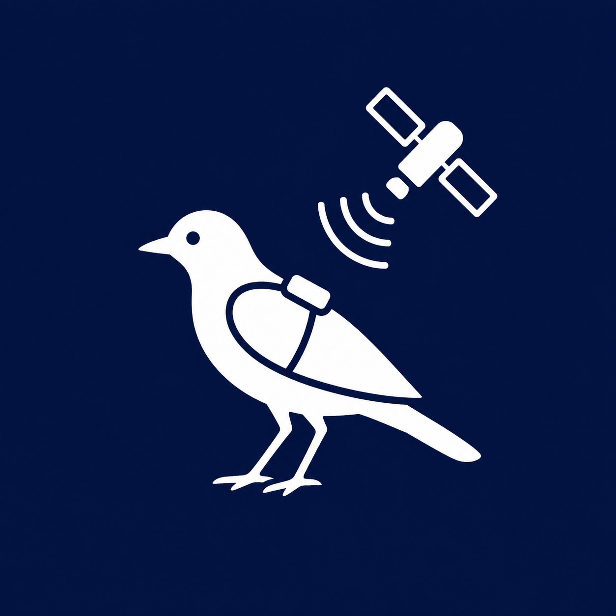 WG 4 — Ringing & Tagging