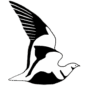 Ornithological Society of the Middle East logo
