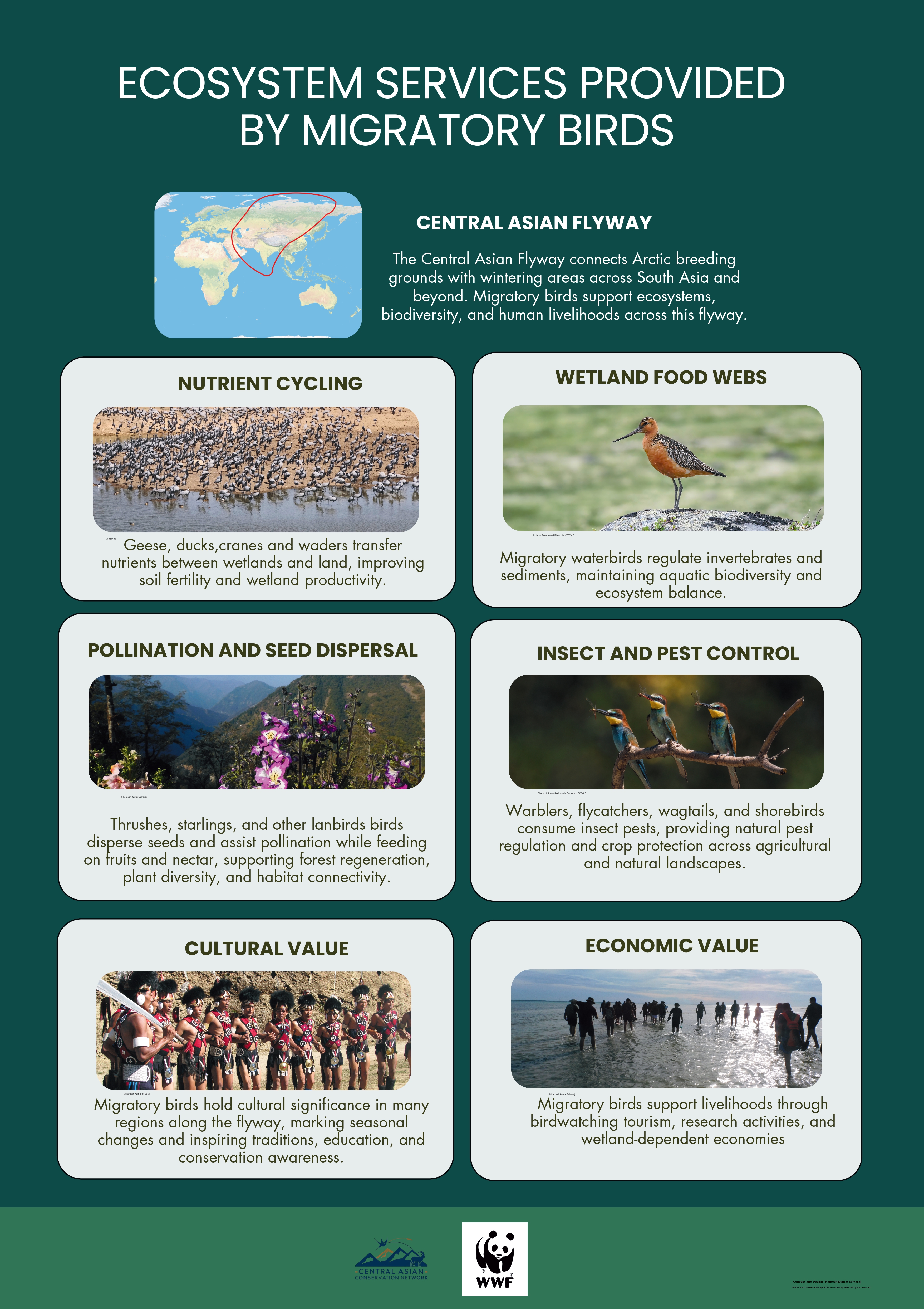 Ecosystem Services Provided by Migratory Birds