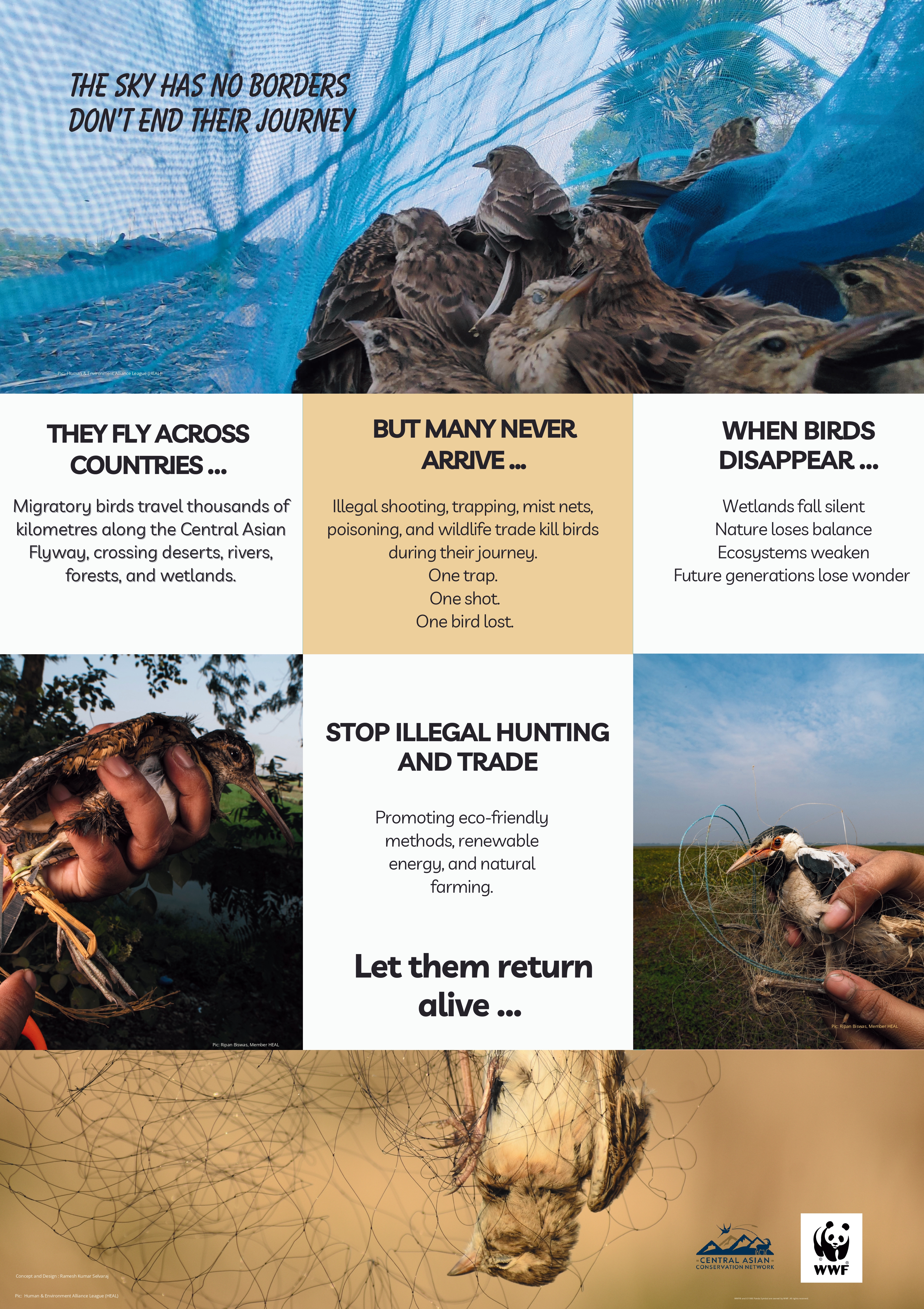Illegal Killing of Birds