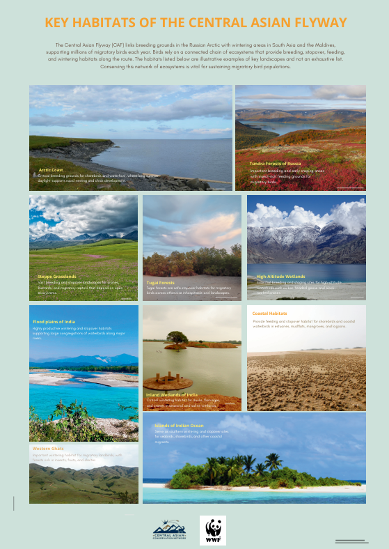 Key Habitats of the Central Asian Flyway