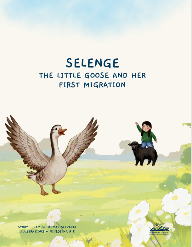 Selenge, the Little Goose and her First Migration