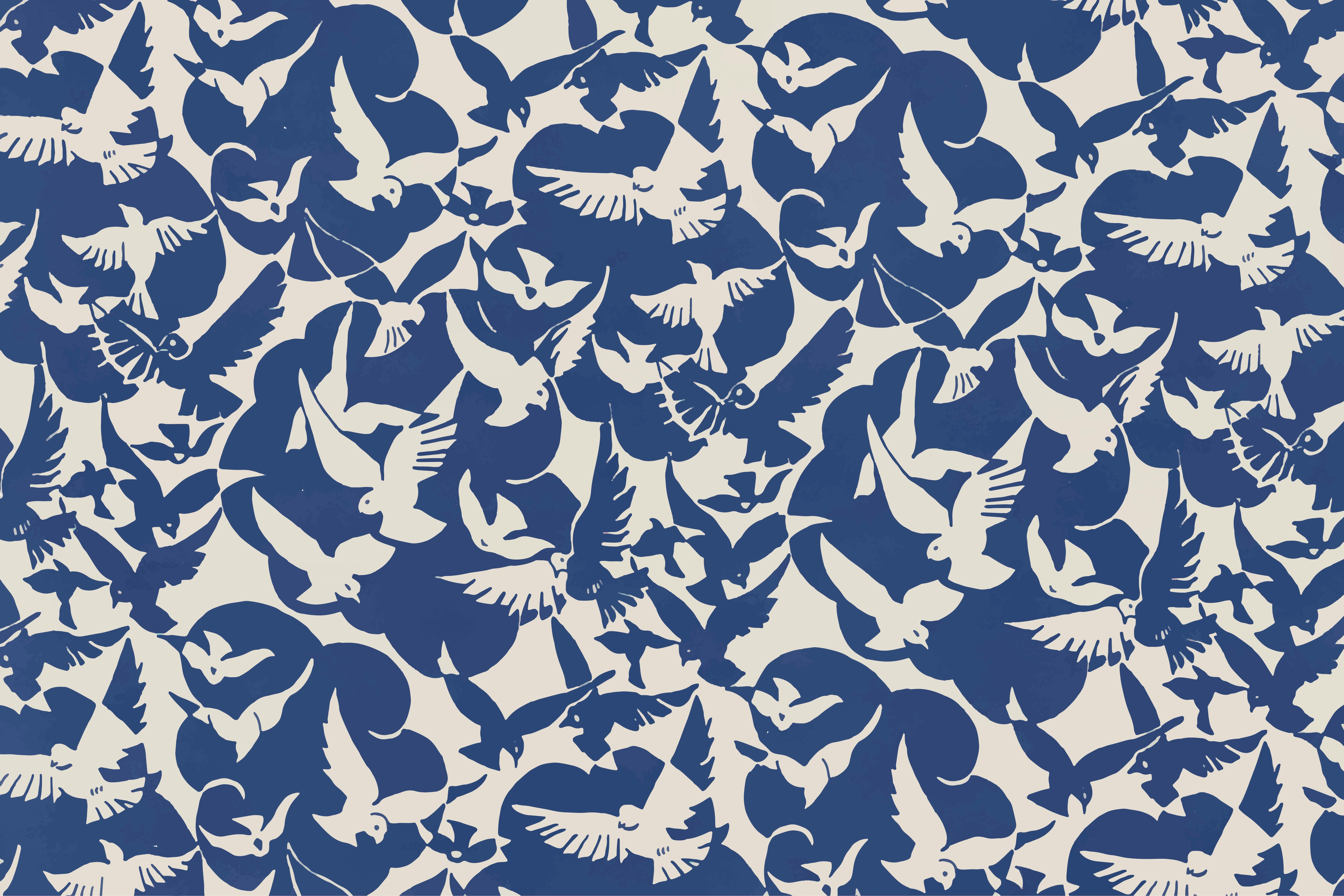 Amur Bird Project project cover