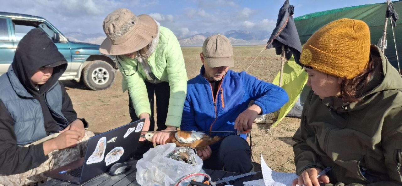 Central Asian Flyway Internship Programme cover