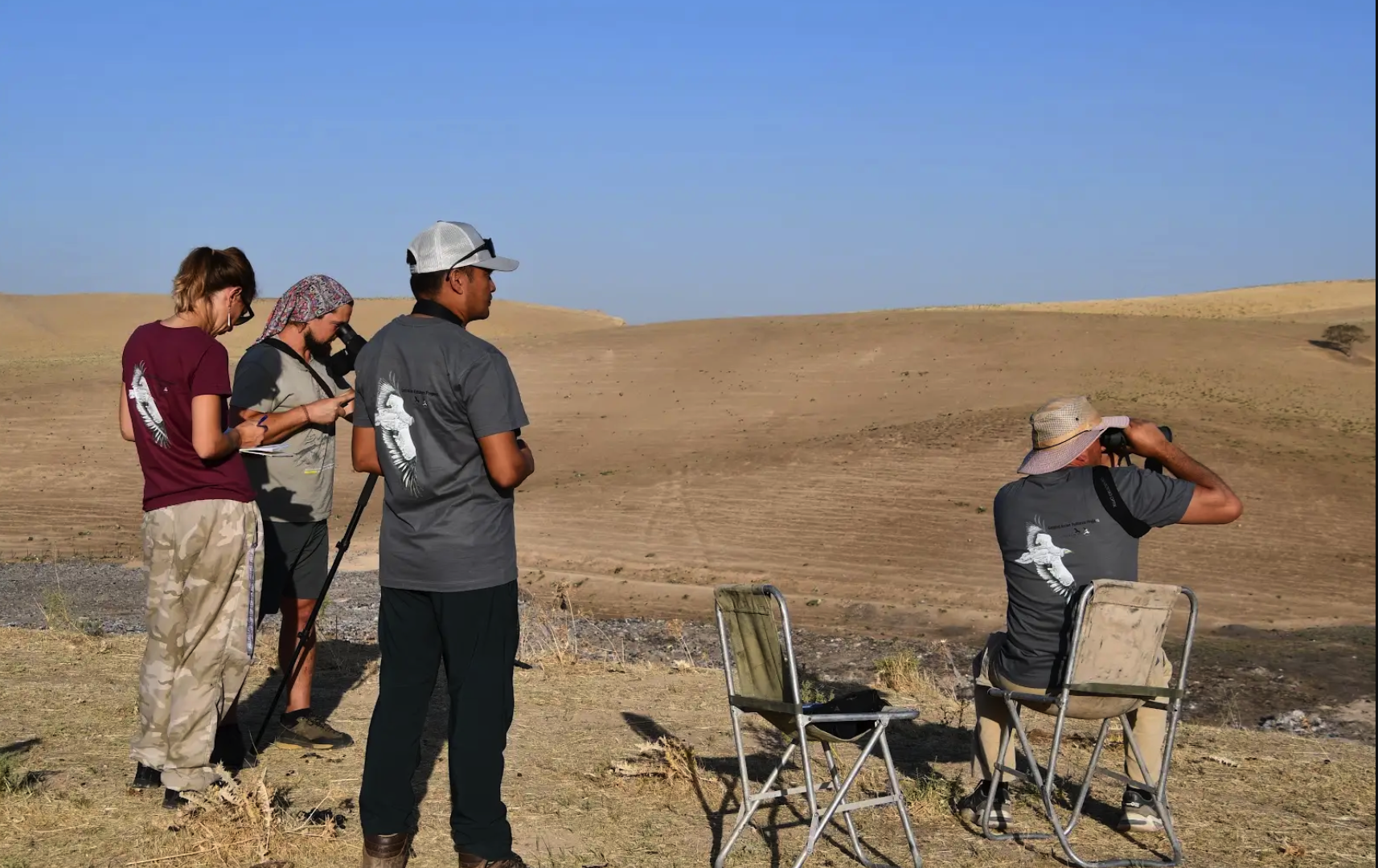 Central Asian Vultures Project gallery image 1