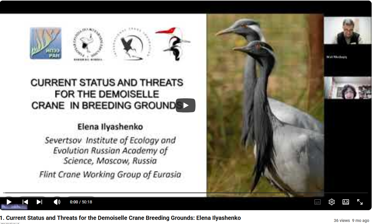  1. Current Status and Threats for the Demoiselle Crane Breeding Grounds: Elena Ilyashenko 