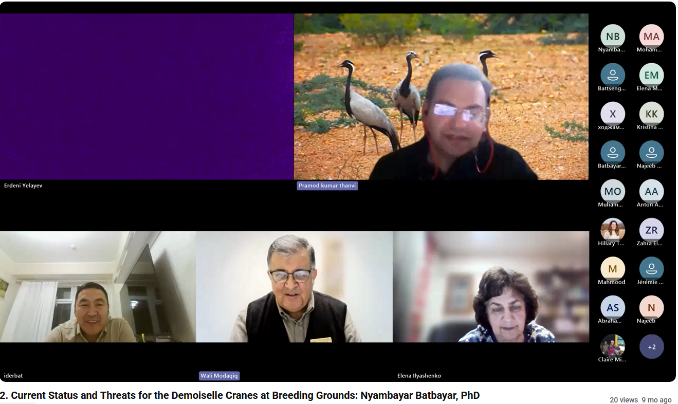 2. Current Status and Threats for the Demoiselle Cranes at Breeding Grounds: Nyambayar Batbayar, PhD 