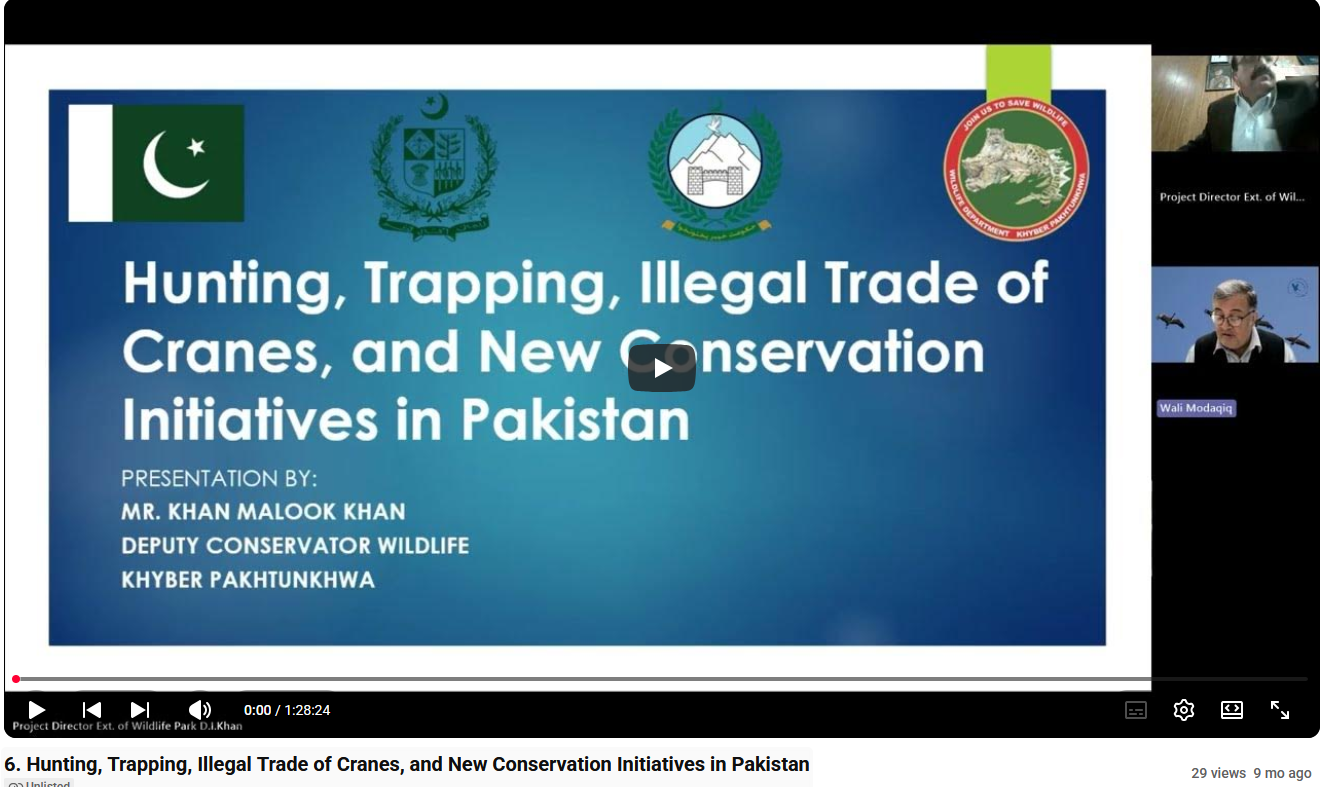  6. Hunting, Trapping, Illegal Trade of Cranes, and New Conservation Initiatives in Pakistan 