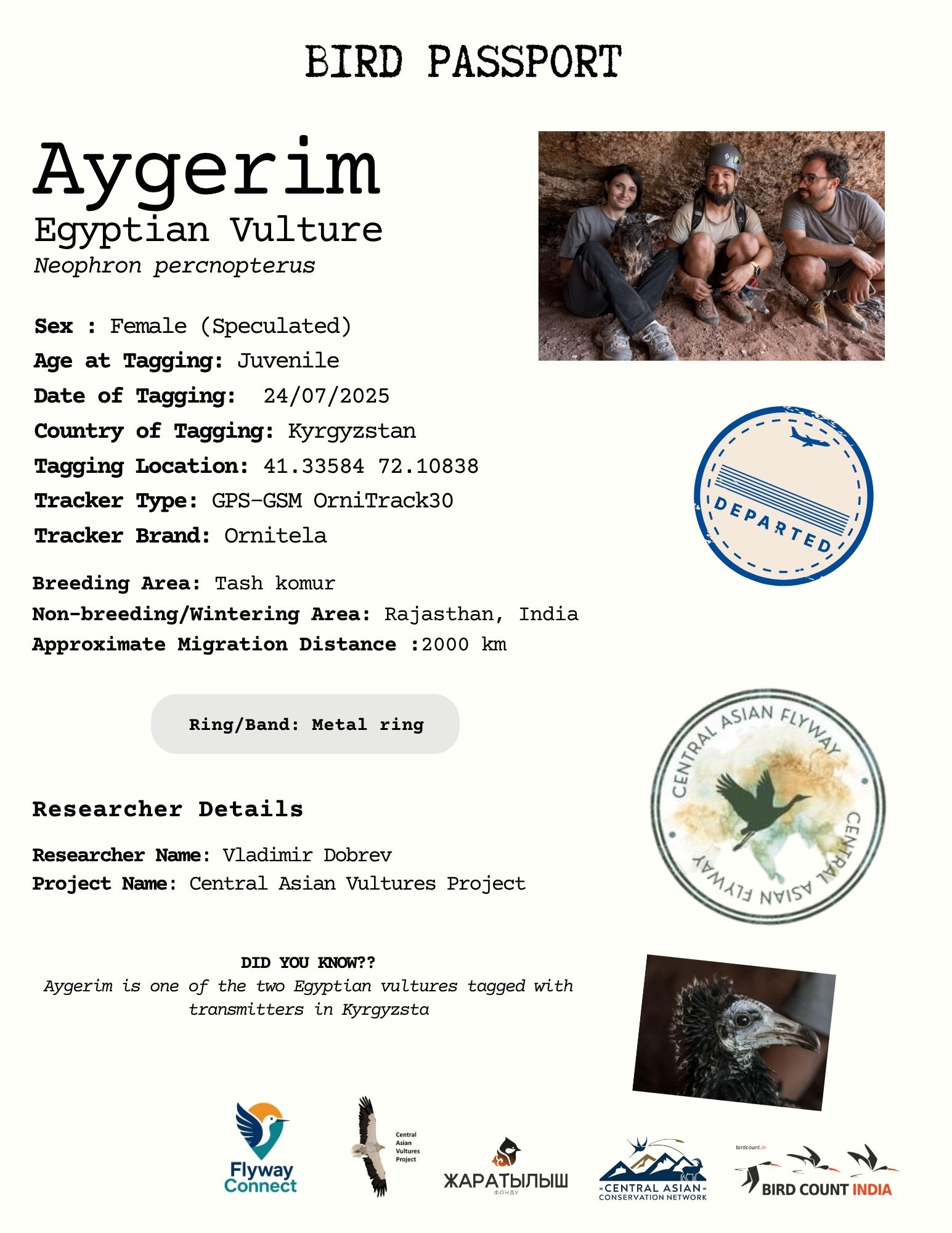 Aygerim Bird Passport