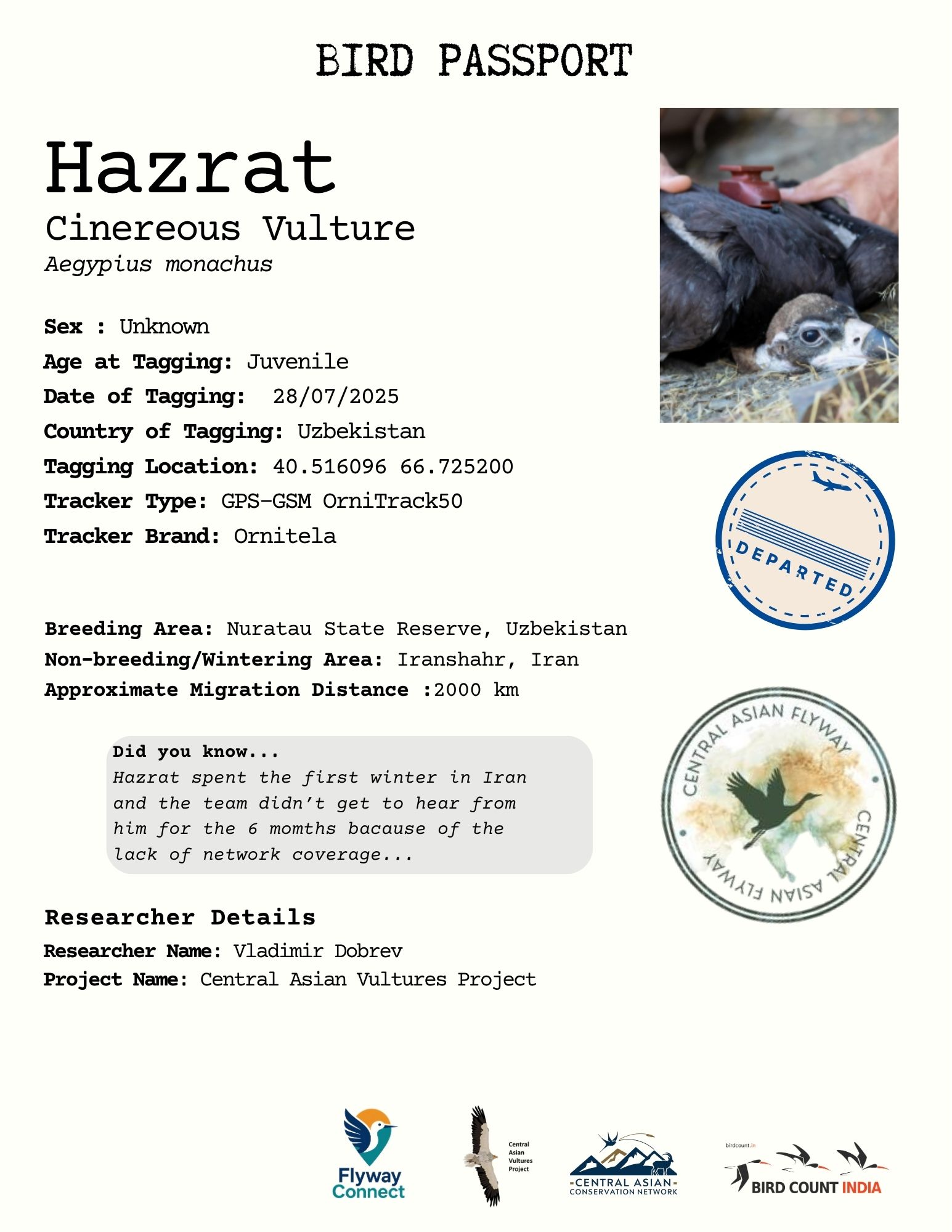 Hazrat Bird Passport