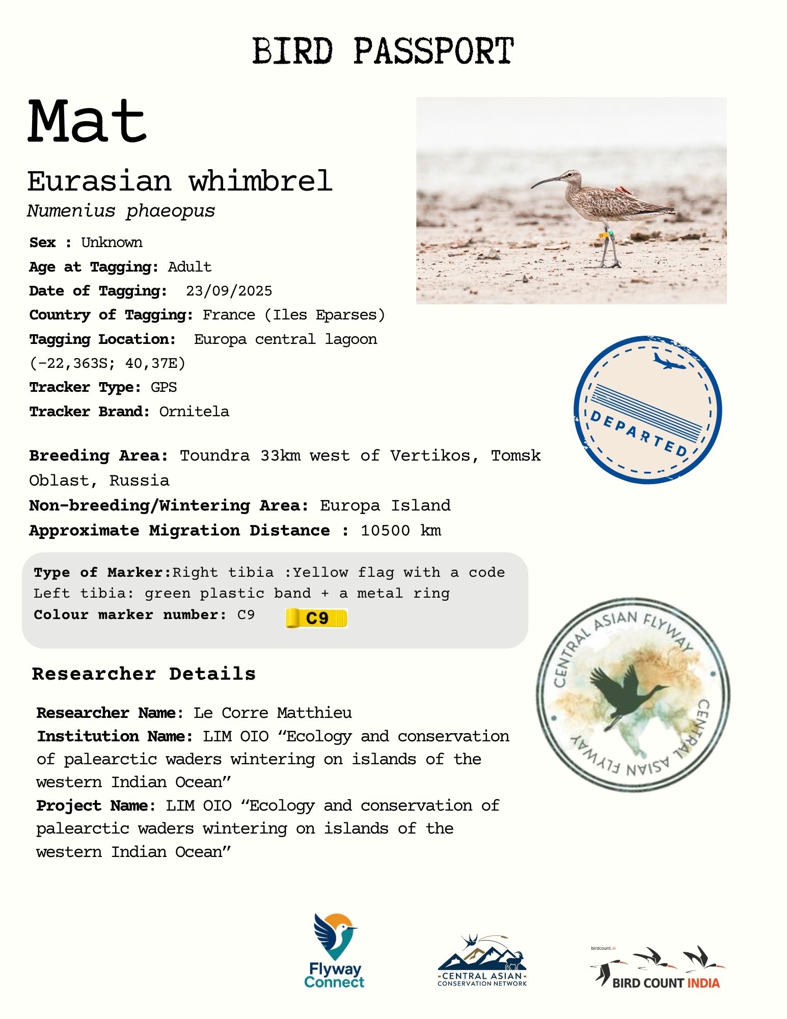 Mat Bird Passport