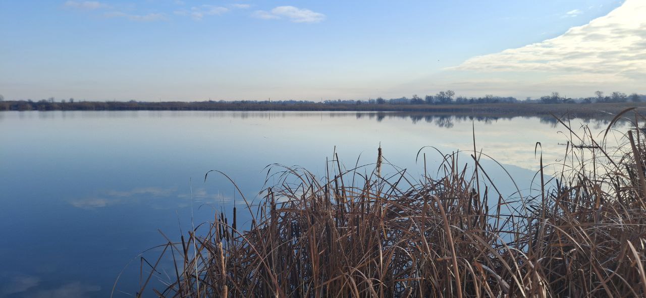 Enhancing the conservation of Bishkek’s wetlands by building capacity, raising awareness and demonstrating nature-based conservation measures at the local community level, in accordance with national and international regulatory frameworks on biodiversity conservation. project cover