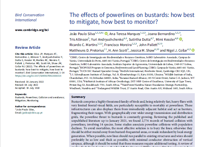 The effects of powerlines on bustards: how best to mitigate, how best to monitor?