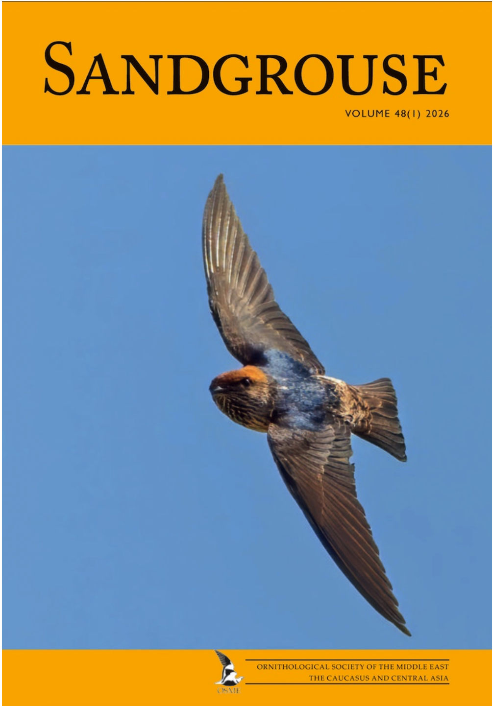 Sandgrouse volume 48 (1) Spring 2026