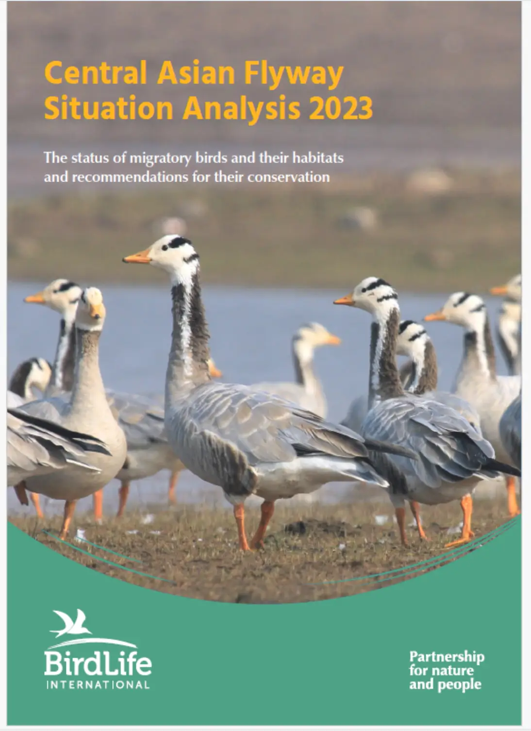 Central Asian Flyway Situation Analysis 2023: The status of migratory birds and their habitats and recommendations for their conservation