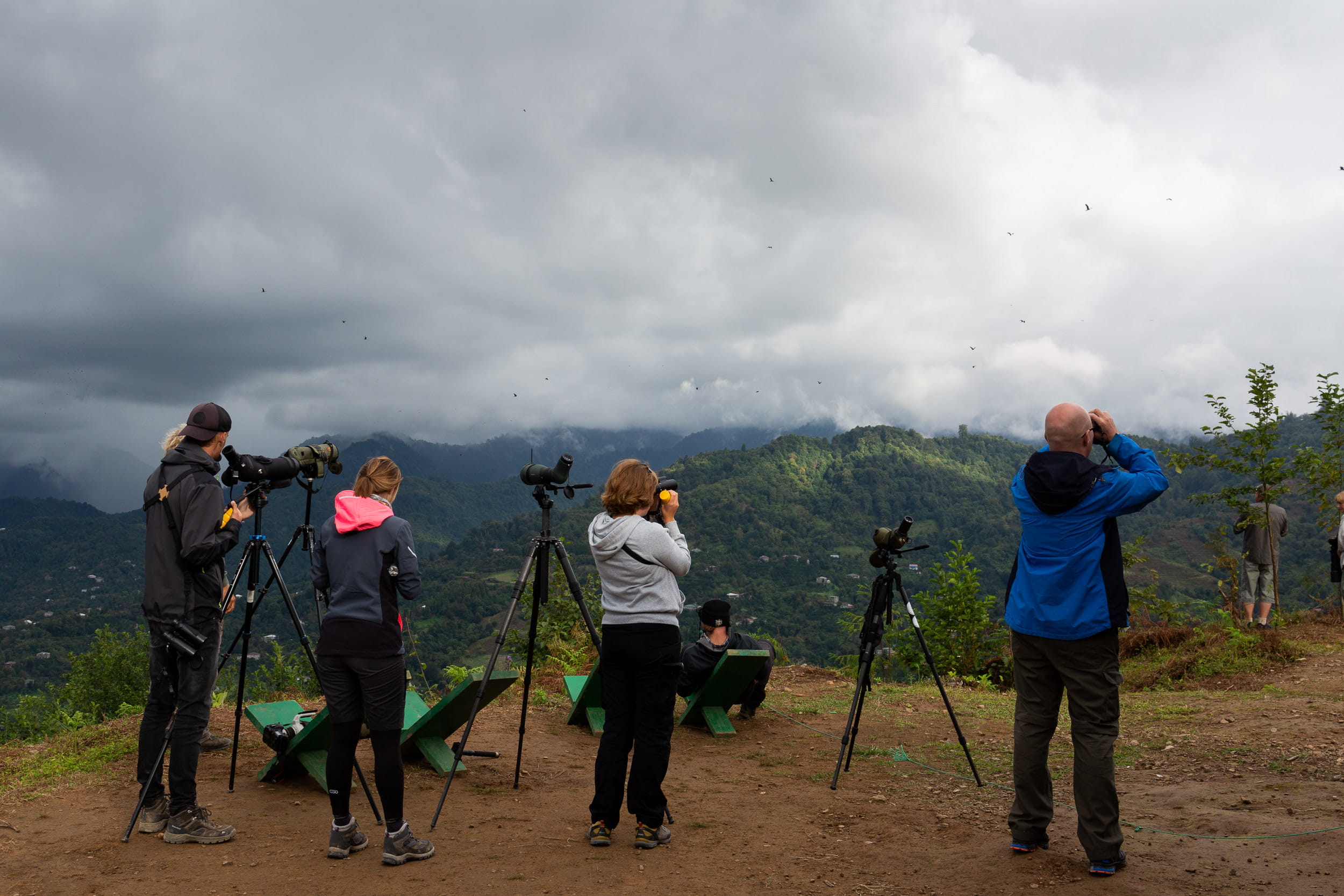 Batumi Raptor Count gallery image 1